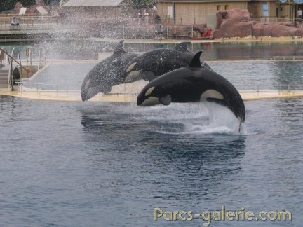 Marineland Antibes - 008