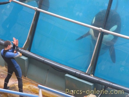 Marineland Antibes - 009