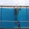 Marineland Antibes - 010