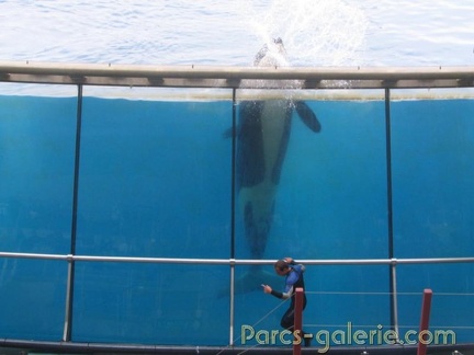 Marineland Antibes - 010