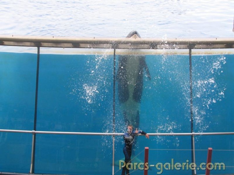 Marineland_Antibes_-_011.jpg