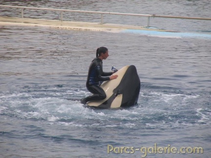 Marineland Antibes - 012