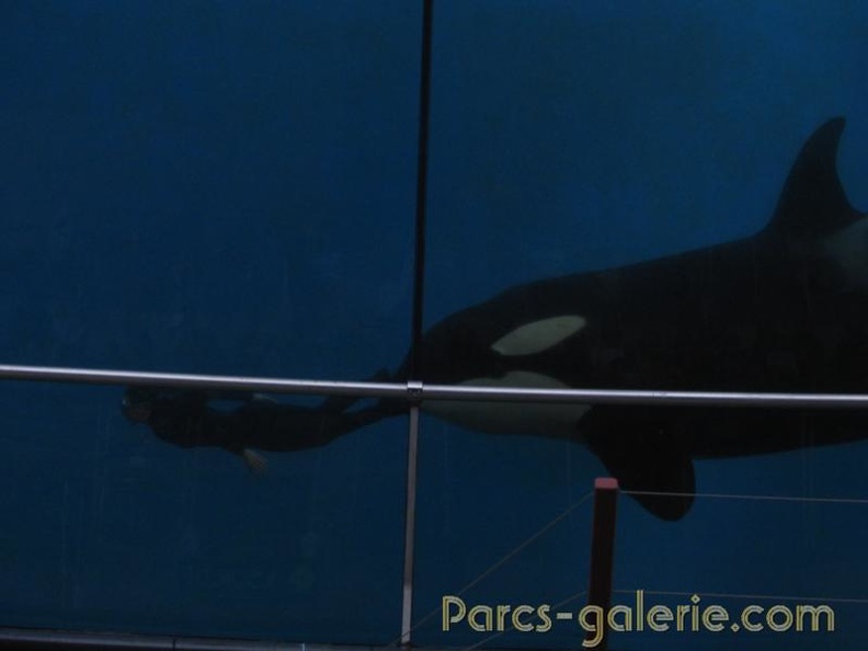 Marineland Antibes - 013