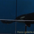 Marineland Antibes - 013