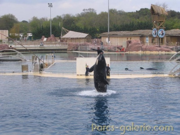 Marineland Antibes - 014