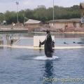 Marineland Antibes - 014