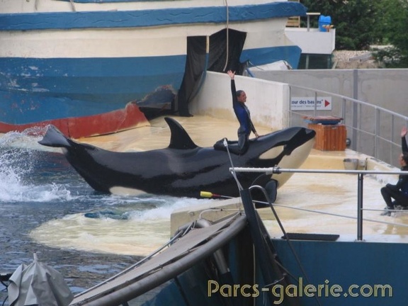 Marineland Antibes - 015