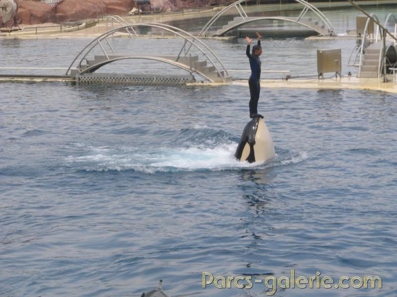 Marineland Antibes - 016