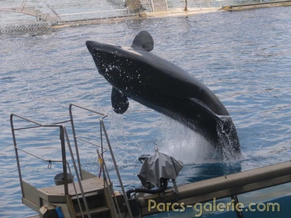 Marineland Antibes - 017