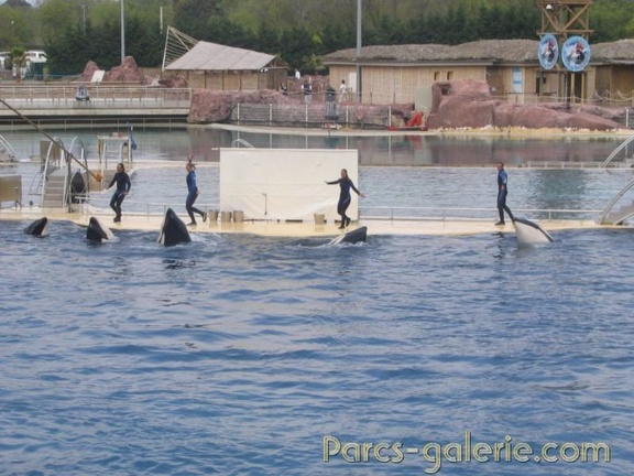 Marineland Antibes - 018