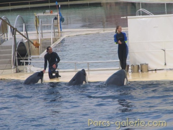 Marineland Antibes - 019