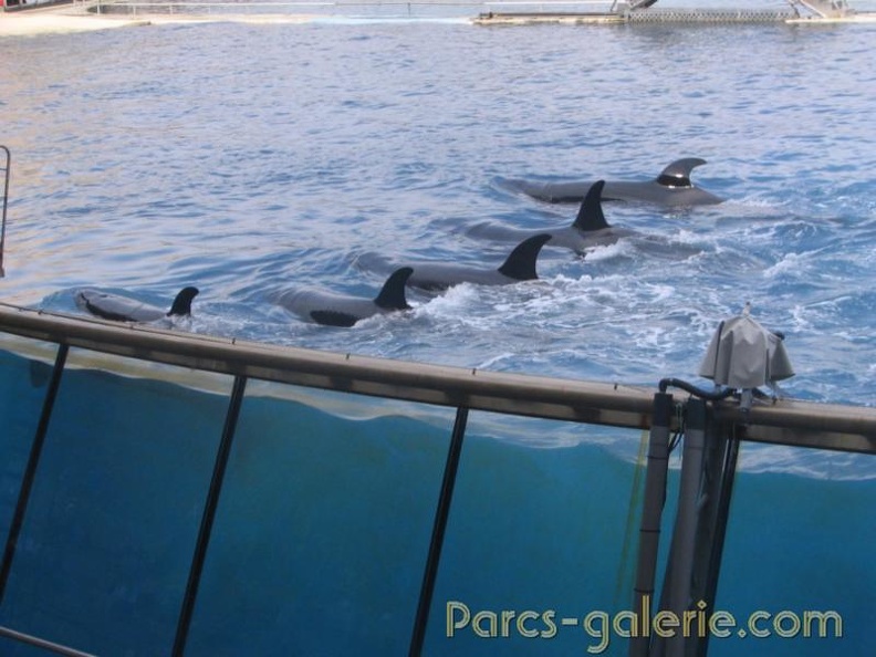 Marineland_Antibes_-_020.jpg