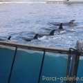 Marineland Antibes - 020