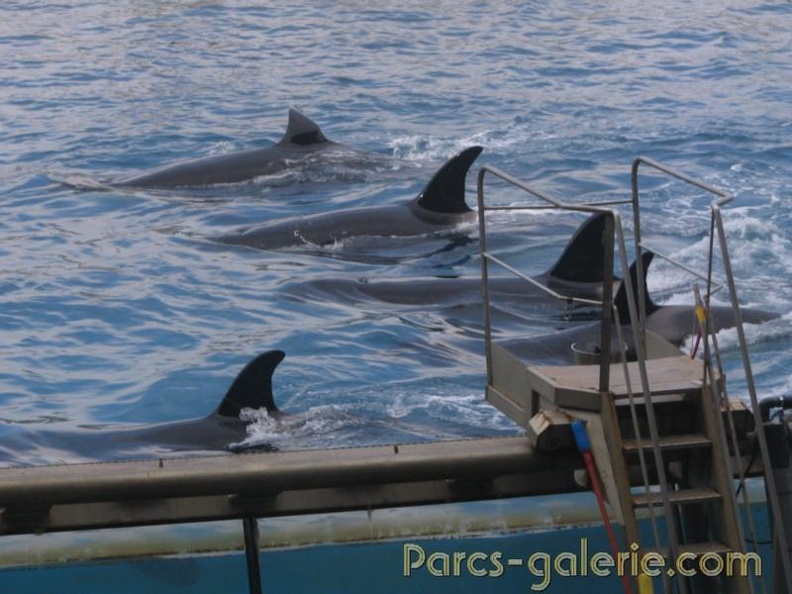 Marineland Antibes - 021