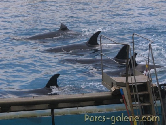 Marineland Antibes - 021