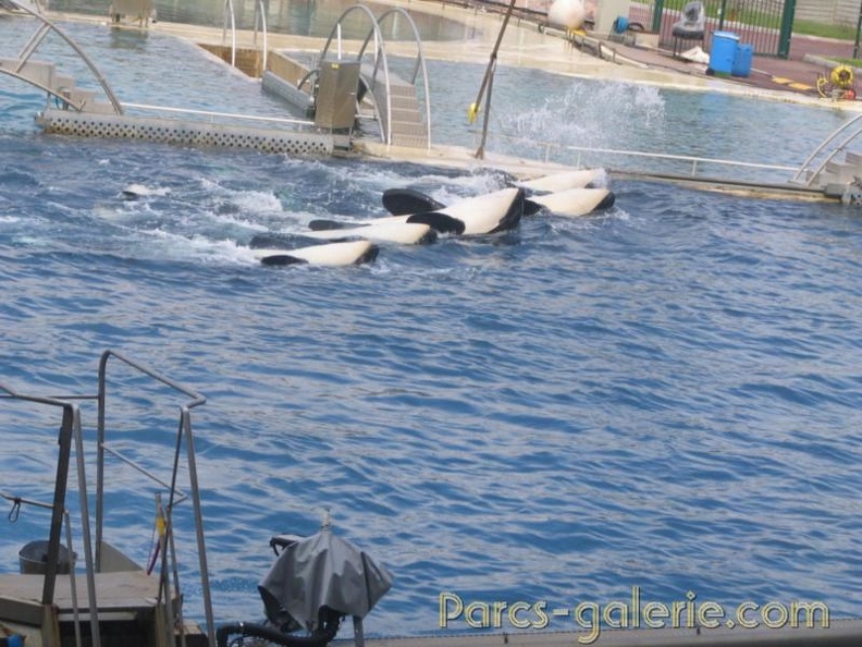 Marineland Antibes - 022