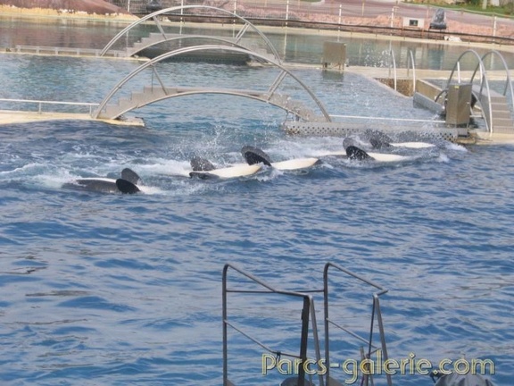 Marineland Antibes - 023