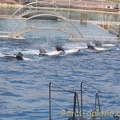 Marineland Antibes - 023