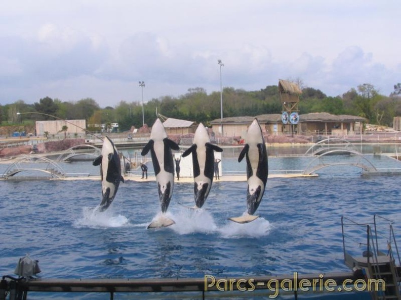 Marineland Antibes - 024