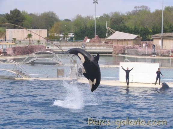 Marineland Antibes - 025