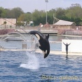 Marineland Antibes - 025