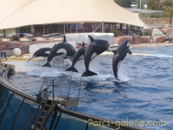 Marineland Antibes - 026