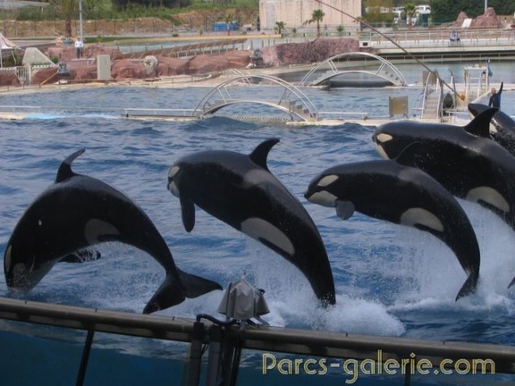 Marineland Antibes - 027