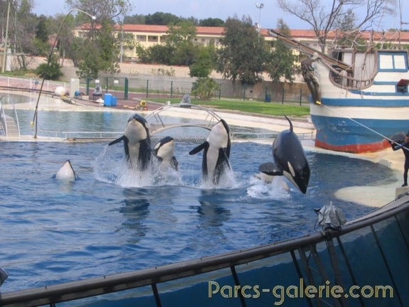 Marineland Antibes - 028