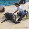 Marineland Antibes - 001