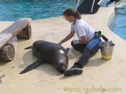 Marineland Antibes - 001