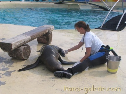 Marineland Antibes - 002