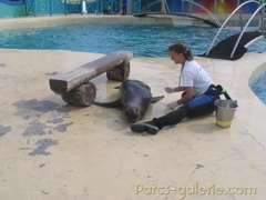 Marineland Antibes - 003