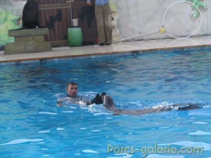 Marineland Antibes - 001