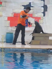 Marineland Antibes - 006