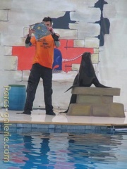 Marineland Antibes - 007