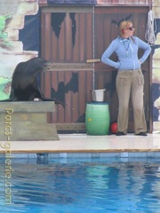 Marineland Antibes - 008