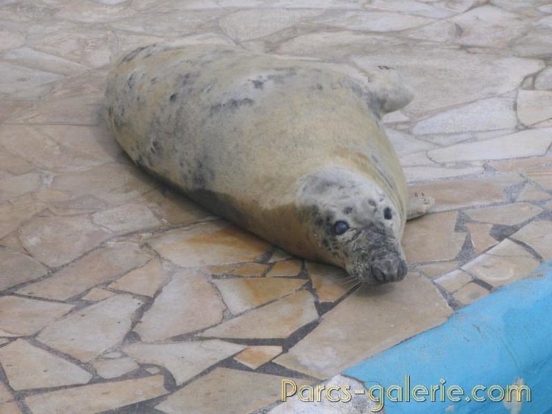 Marineland_Antibes_-_004.jpg