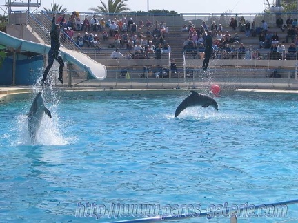 Marineland Antibes - 001