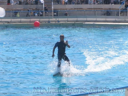 Marineland Antibes - 002