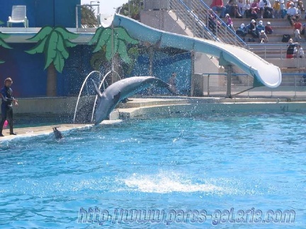 Marineland Antibes - 004