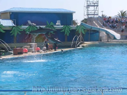 Marineland Antibes - 005