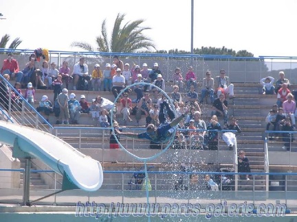 Marineland Antibes - 006