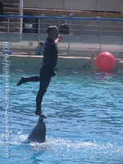 Marineland Antibes - 008