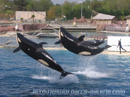 Marineland Antibes - 001