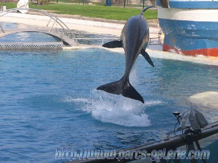 Marineland Antibes - 002