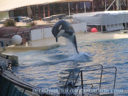 Marineland Antibes - 003