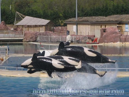 Marineland Antibes - 004