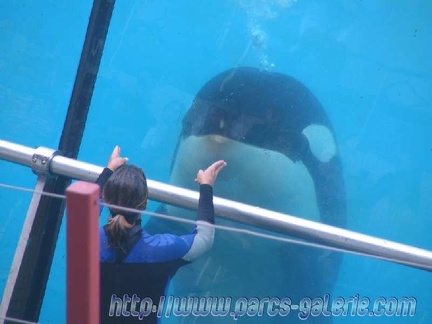 Marineland Antibes - 005