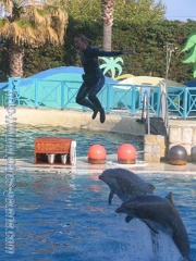 Marineland Antibes - 001