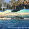 Marineland Antibes - 002